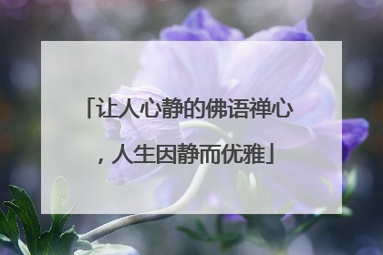 让人心静的佛语禅心,人生因静而优雅