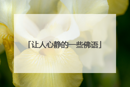 让人心静的一些佛语