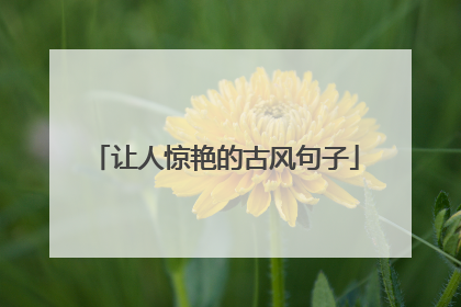 让人惊艳的古风句子