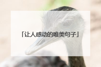 让人感动的唯美句子