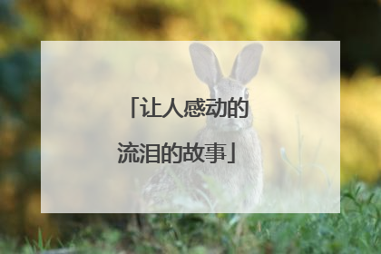 让人感动的流泪的故事