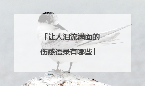 让人泪流满面的伤感语录有哪些