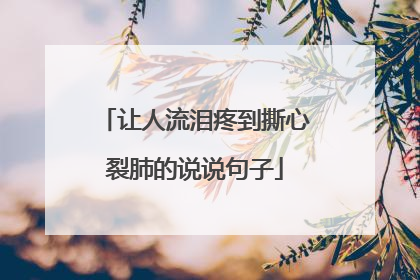 让人流泪疼到撕心裂肺的说说句子