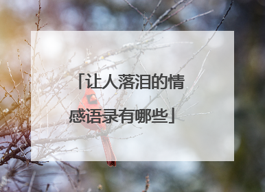 让人落泪的情感语录有哪些