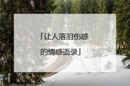 让人落泪伤感的情感语录
