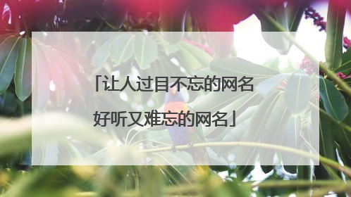 让人过目不忘的网名好听又难忘的网名