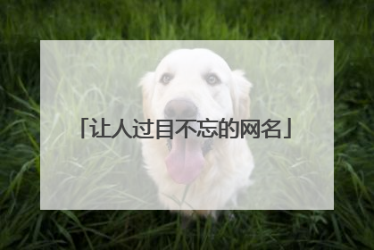 让人过目不忘的网名