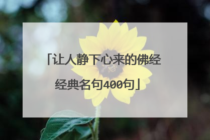 让人静下心来的佛经经典名句400句