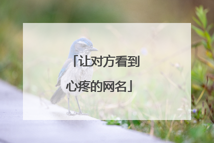 让对方看到心疼的网名