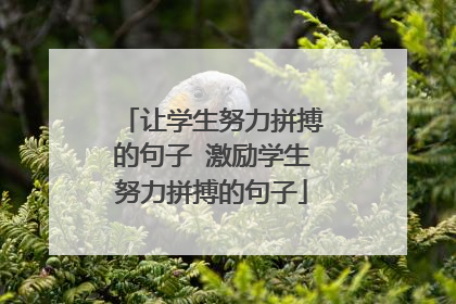 让学生努力拼搏的句子 激励学生努力拼搏的句子