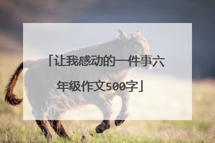 让我感动的一件事六年级作文500字