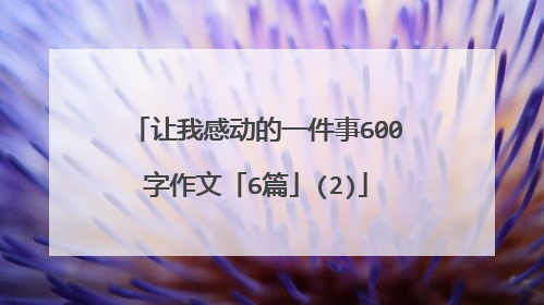 让我感动的一件事600字作文「6篇」(2)