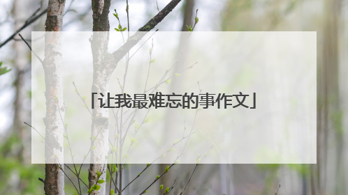 让我最难忘的事作文