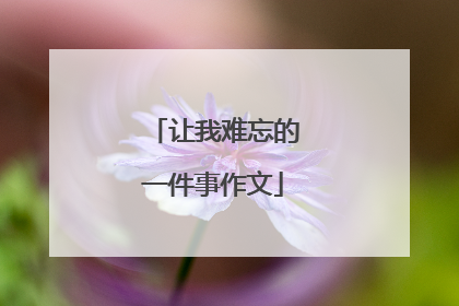 让我难忘的一件事作文