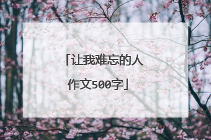 让我难忘的人作文500字