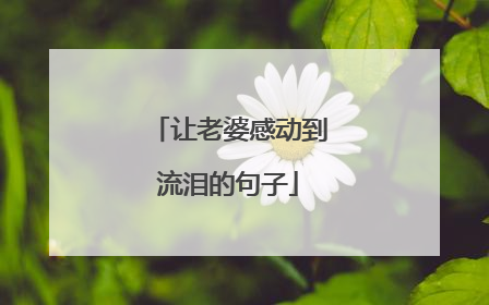 让老婆感动到流泪的句子