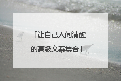 让自己人间清醒的高级文案集合