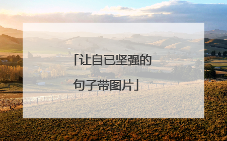 让自已坚强的句子带图片