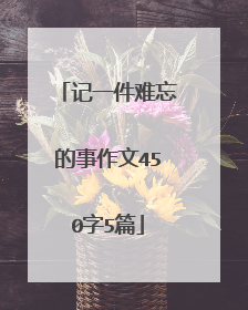记一件难忘的事作文450字5篇