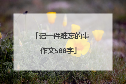 记一件难忘的事作文500字