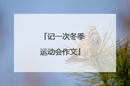 记一次冬季运动会作文