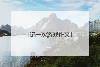 记一次游戏作文
