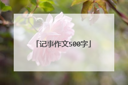 记事作文500字