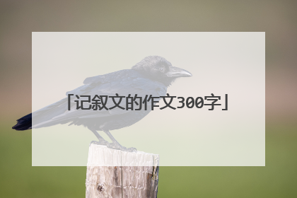 记叙文的作文300字