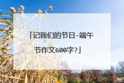 记我们的节日-端午节作文600字?