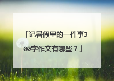 记暑假里的一件事300字作文有哪些？
