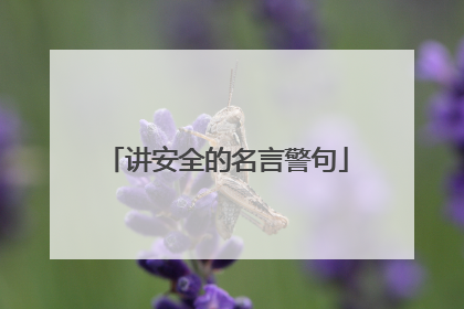 讲安全的名言警句