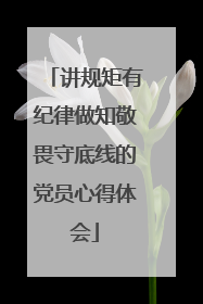 讲规矩有纪律做知敬畏守底线的党员心得体会