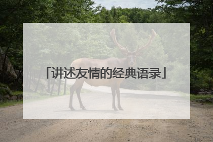 讲述友情的经典语录