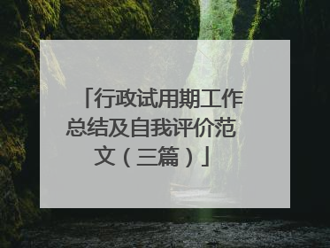 行政试用期工作总结及自我评价范文(三篇)