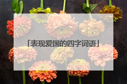 表现爱国的四字词语