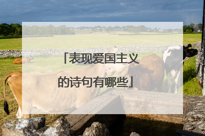 表现爱国主义的诗句有哪些