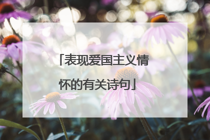 表现爱国主义情怀的有关诗句