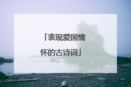 表现爱国情怀的古诗词