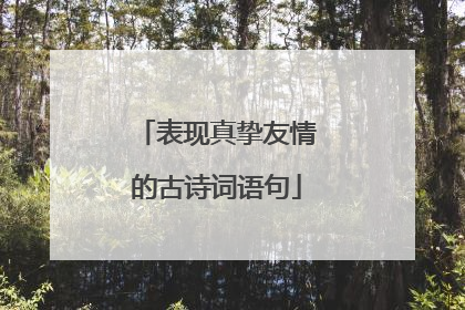 表现真挚友情的古诗词语句