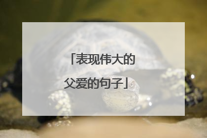 表现伟大的父爱的句子