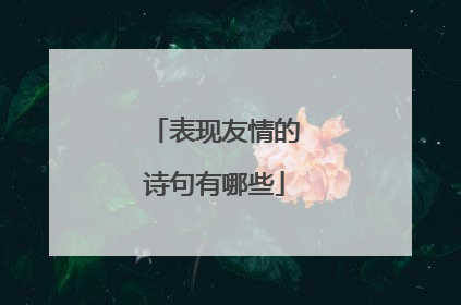 表现友情的诗句有哪些