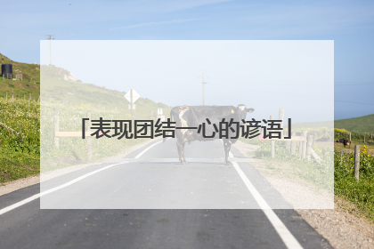 表现团结一心的谚语