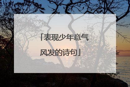 表现少年意气风发的诗句