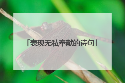 表现无私奉献的诗句
