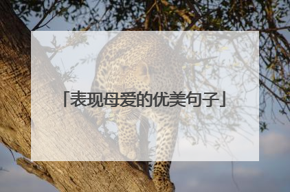 表现母爱的优美句子