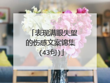 表现满眼失望的伤感文案锦集(43句)