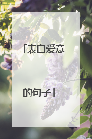 表白爱意的句子