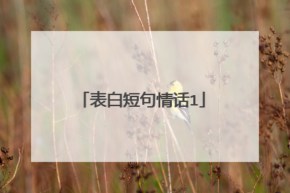表白短句情话1