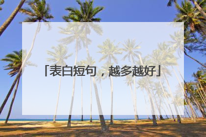 表白短句,越多越好