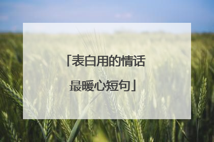 表白用的情话 最暖心短句
